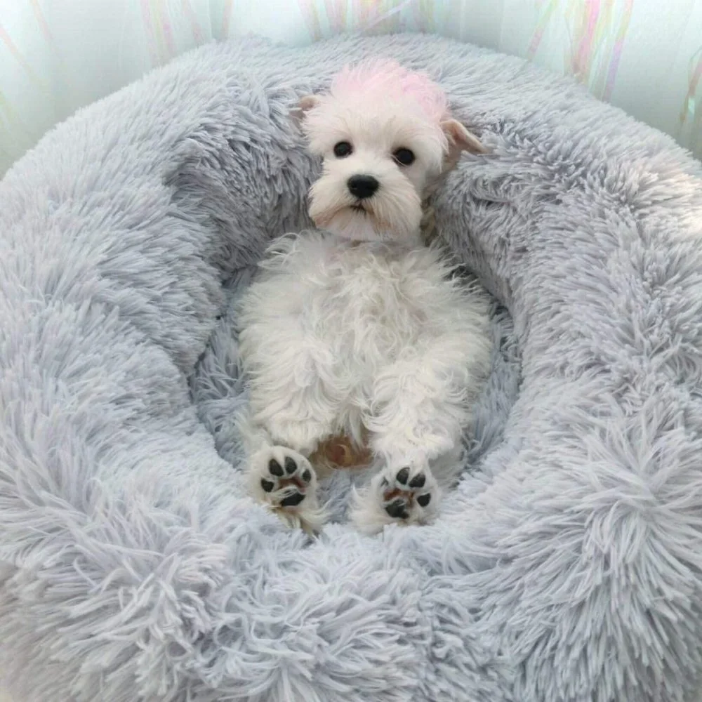 Comfy Calming & Self-Warming Bed for Cats & Dogs